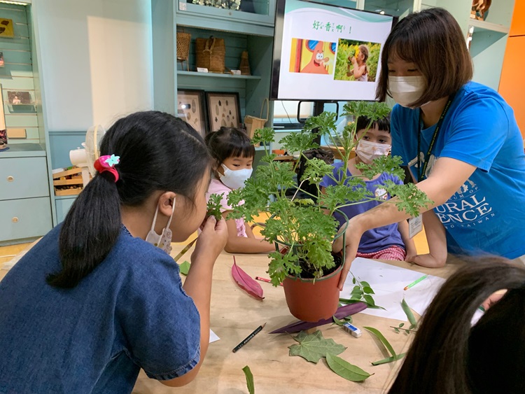 幼兒園：綠葉仙蹤(8/4-5)-圖片275