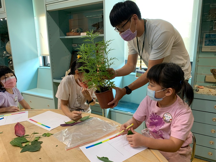 幼兒園：綠葉仙蹤(8/4-5)-圖片276
