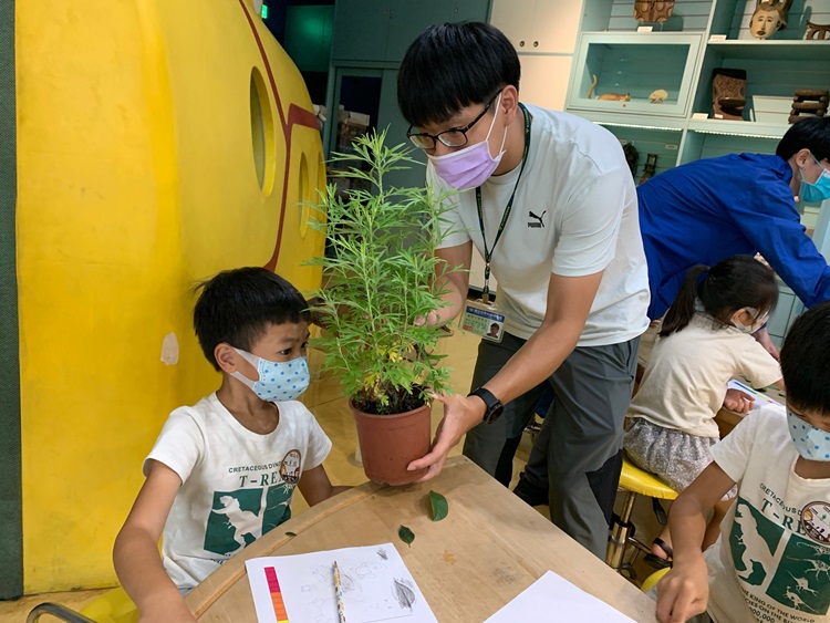 幼兒園：綠葉仙蹤(8/4-5)-圖片280