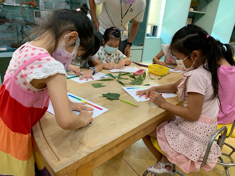 幼兒園：綠葉仙蹤(8/4-5)-圖片290