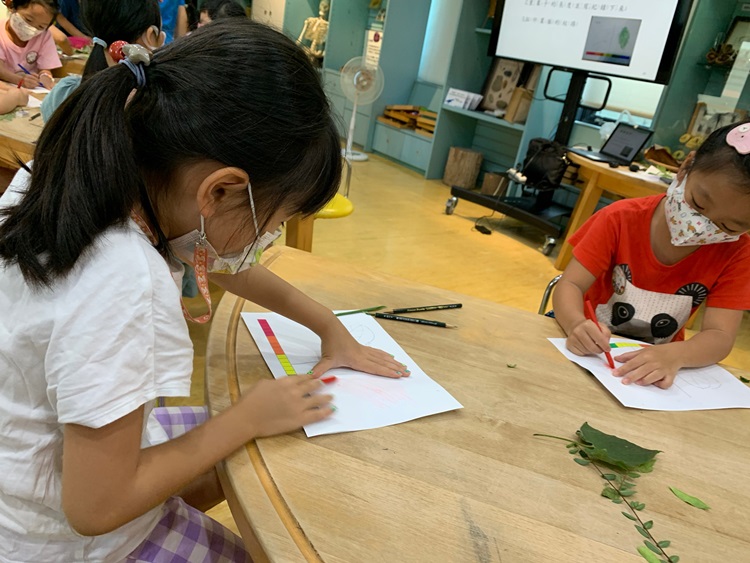 幼兒園：綠葉仙蹤(8/4-5)-圖片291