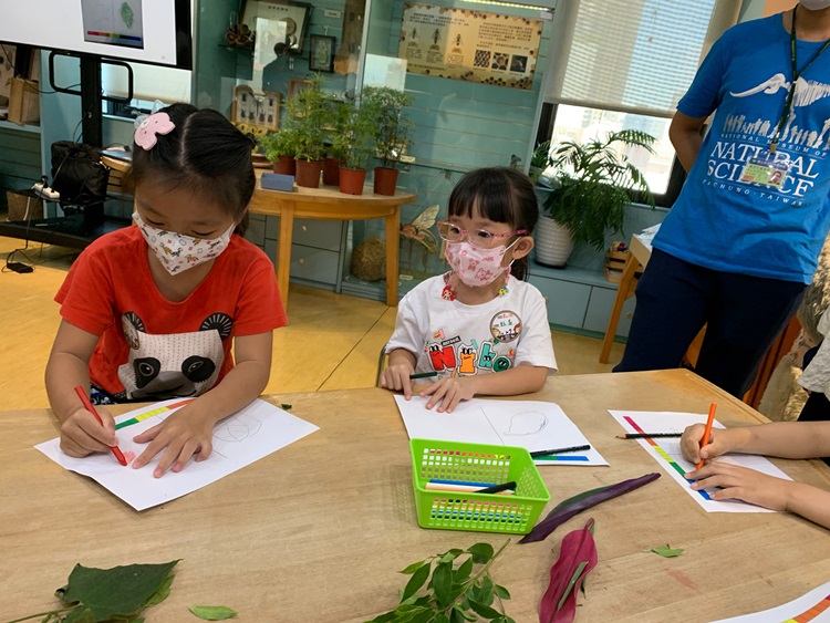 幼兒園：綠葉仙蹤(8/4-5)-圖片292