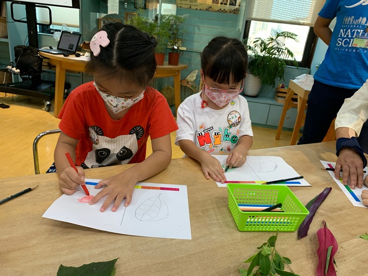 幼兒園：綠葉仙蹤(8/4-5)-圖片293