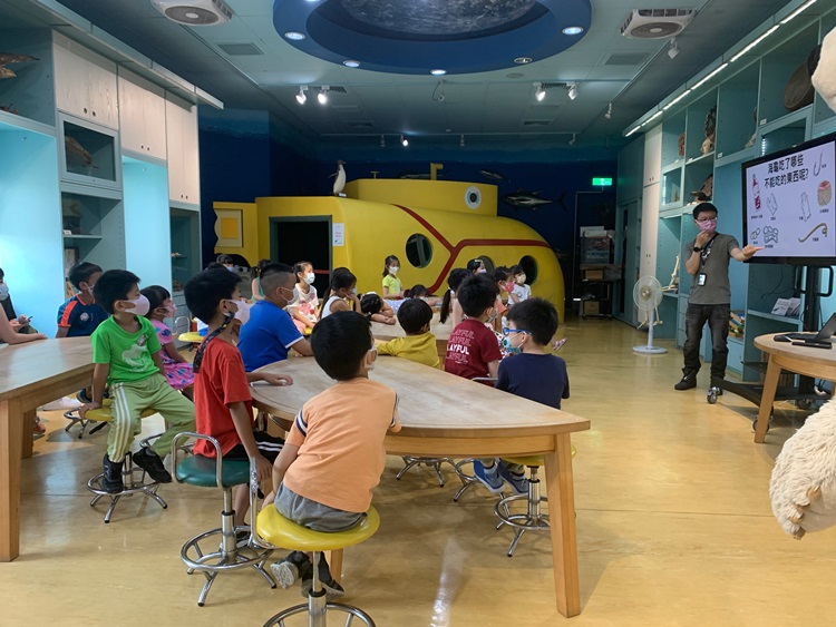 幼兒園：小海龜的超級任務(8/9-10)-圖片3