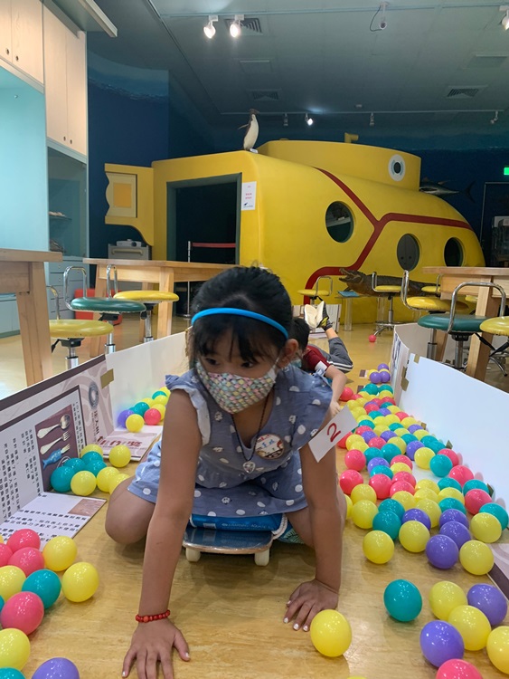 幼兒園：小海龜的超級任務(8/9-10)-圖片11