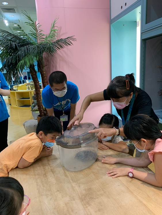 幼兒園：小海龜的超級任務(8/9-10)-圖片13