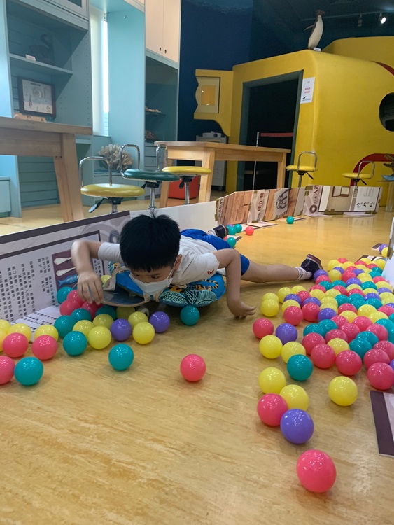 幼兒園：小海龜的超級任務(8/9-10)-圖片15