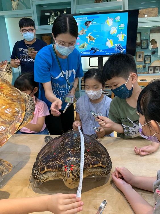 幼兒園：小海龜的超級任務(8/9-10)-圖片24