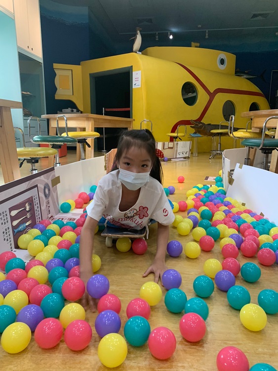 幼兒園：小海龜的超級任務(8/9-10)-圖片27