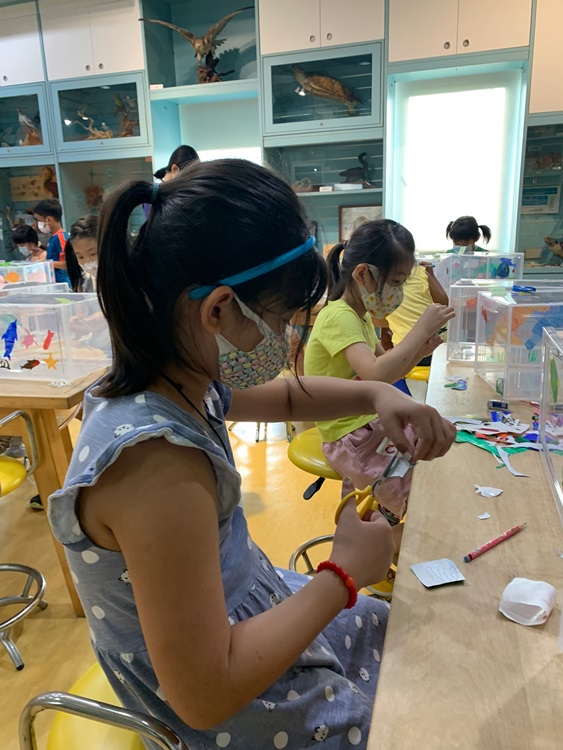 幼兒園：小海龜的超級任務(8/9-10)-圖片31