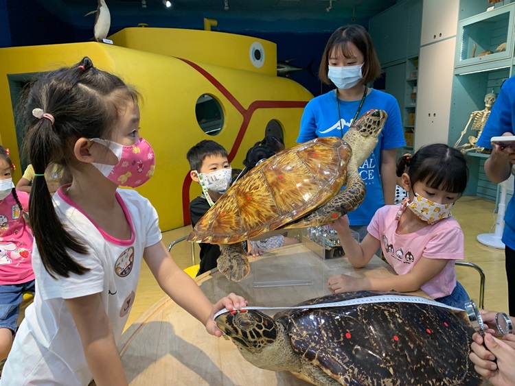 幼兒園：小海龜的超級任務(8/9-10)-圖片46