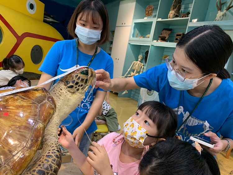 幼兒園：小海龜的超級任務(8/9-10)-圖片51