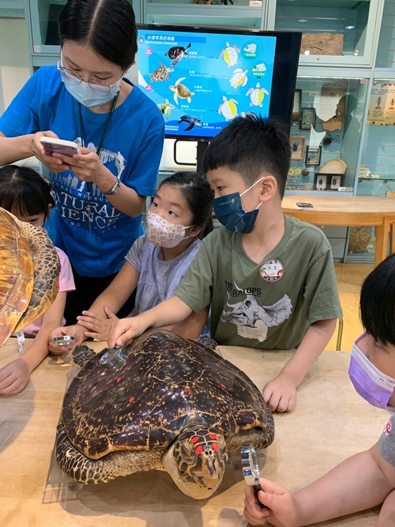 幼兒園：小海龜的超級任務(8/9-10)-圖片52