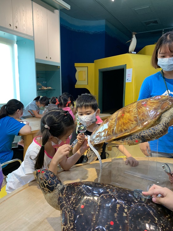 幼兒園：小海龜的超級任務(8/9-10)-圖片53
