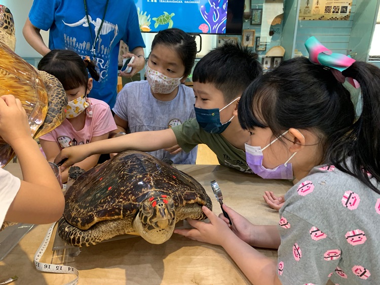 幼兒園：小海龜的超級任務(8/9-10)-圖片56