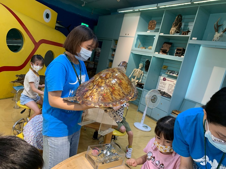 幼兒園：小海龜的超級任務(8/9-10)-圖片57
