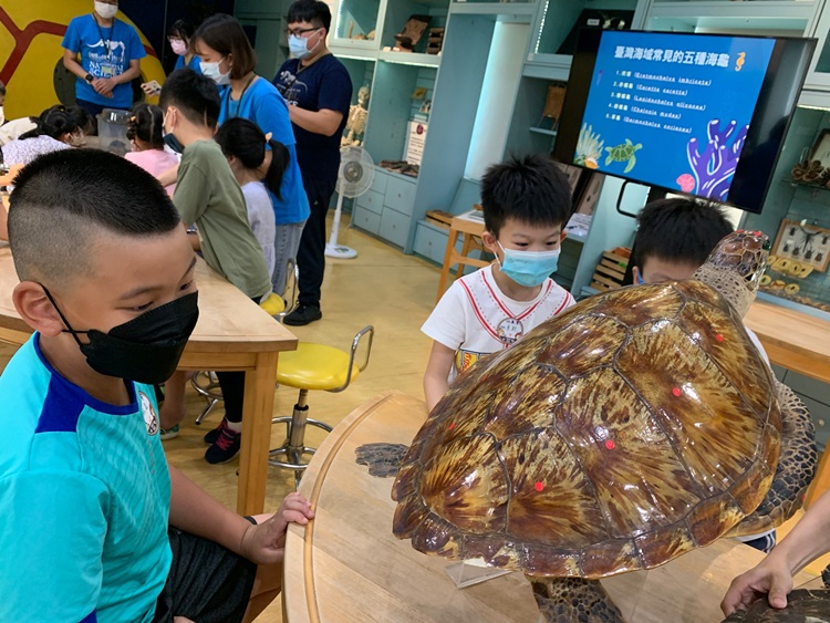 幼兒園：小海龜的超級任務(8/9-10)-圖片59
