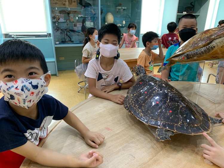 幼兒園：小海龜的超級任務(8/9-10)-圖片60
