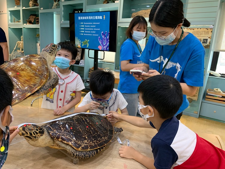 幼兒園：小海龜的超級任務(8/9-10)-圖片61
