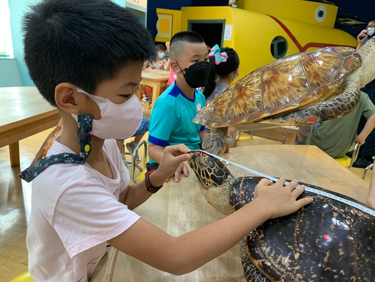 幼兒園：小海龜的超級任務(8/9-10)-圖片62