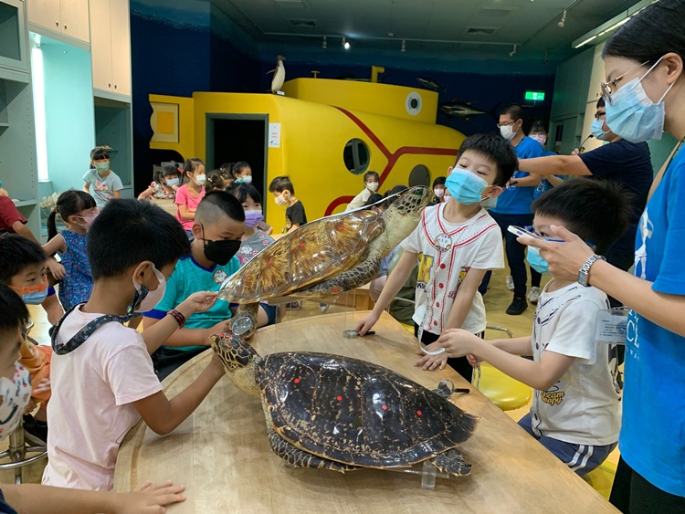 幼兒園：小海龜的超級任務(8/9-10)-圖片63