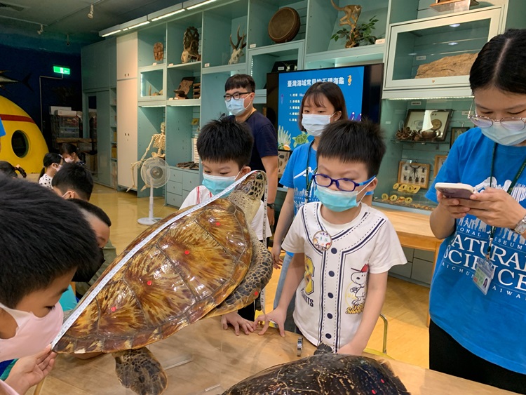 幼兒園：小海龜的超級任務(8/9-10)-圖片64
