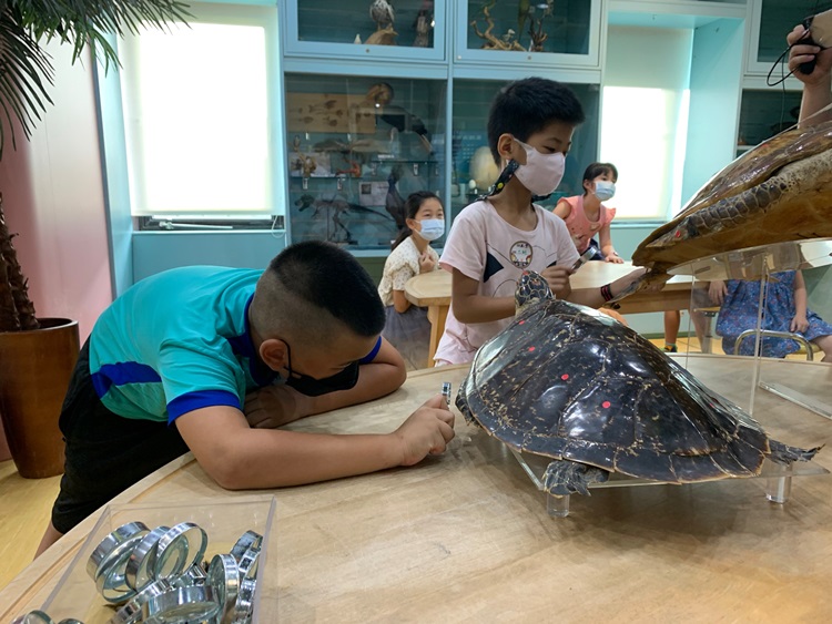 幼兒園：小海龜的超級任務(8/9-10)-圖片65