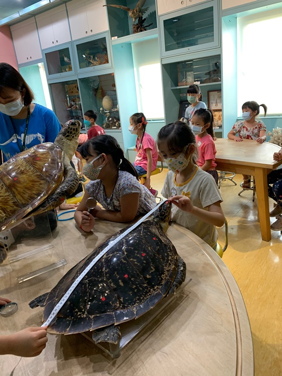 幼兒園：小海龜的超級任務(8/9-10)-圖片66