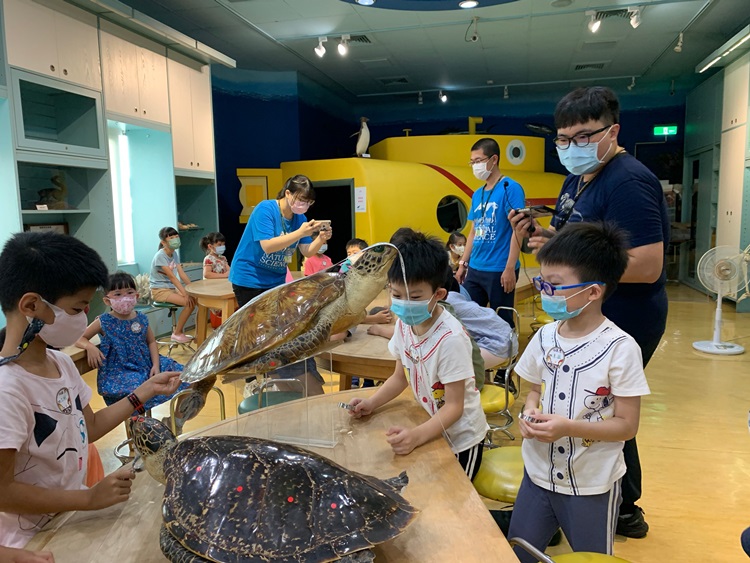 幼兒園：小海龜的超級任務(8/9-10)-圖片67