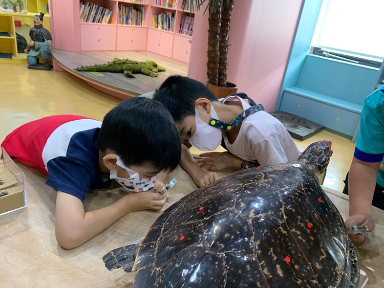 幼兒園：小海龜的超級任務(8/9-10)-圖片70