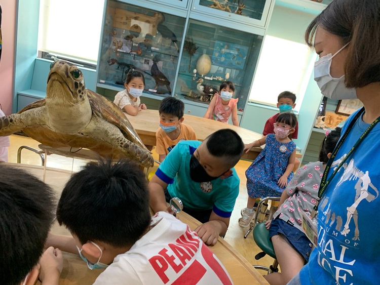 幼兒園：小海龜的超級任務(8/9-10)-圖片71