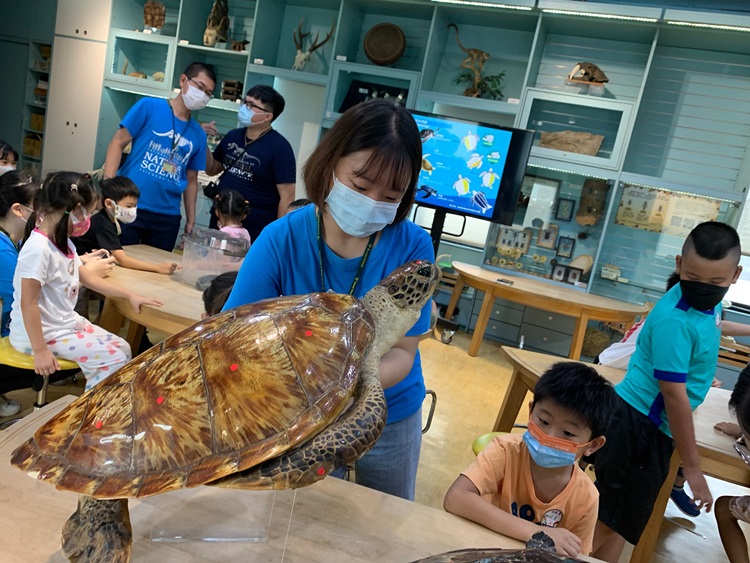 幼兒園：小海龜的超級任務(8/9-10)-圖片72