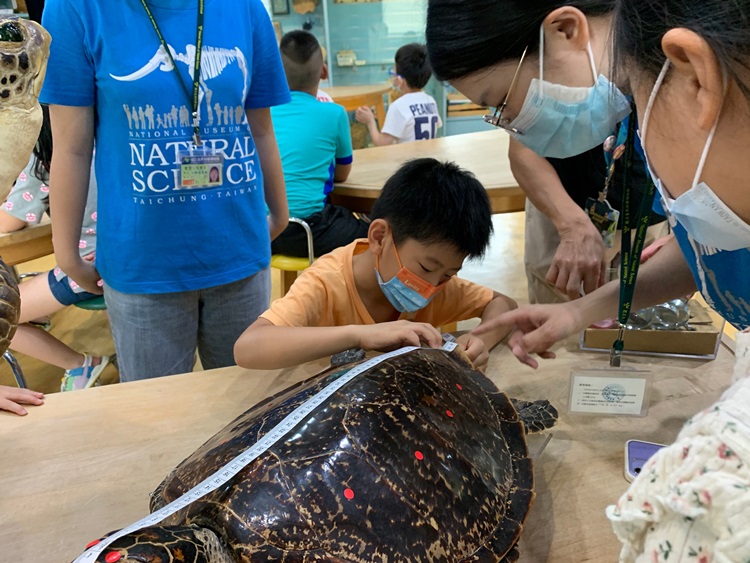 幼兒園：小海龜的超級任務(8/9-10)-圖片73