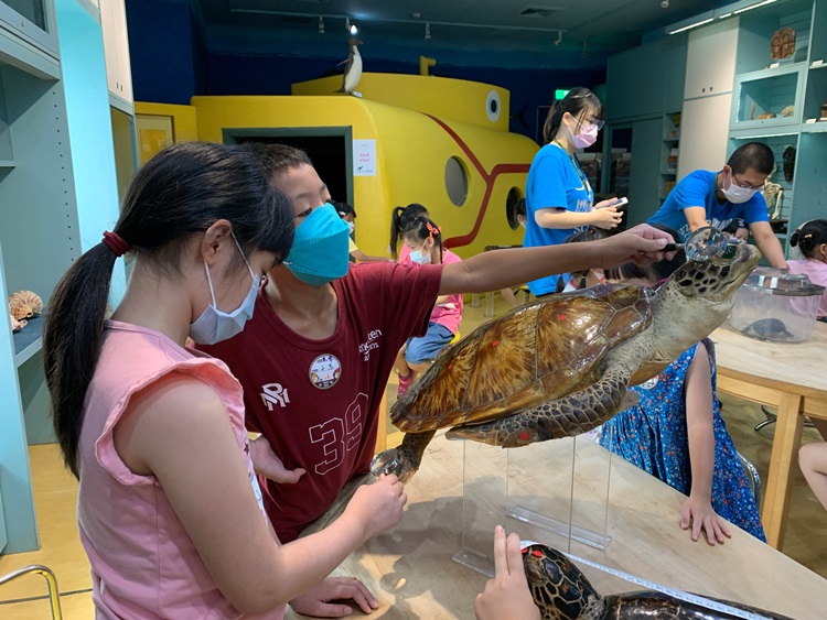 幼兒園：小海龜的超級任務(8/9-10)-圖片74