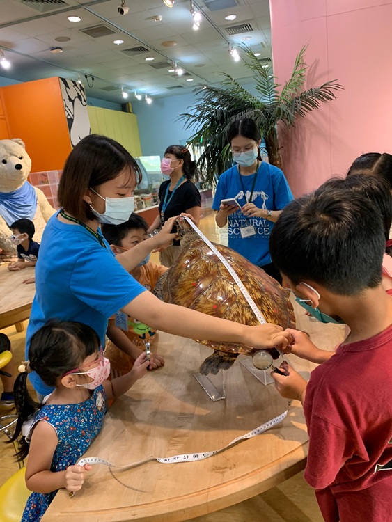 幼兒園：小海龜的超級任務(8/9-10)-圖片75