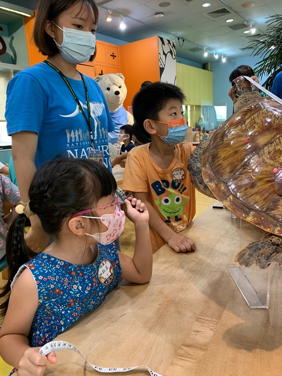 幼兒園：小海龜的超級任務(8/9-10)-圖片76