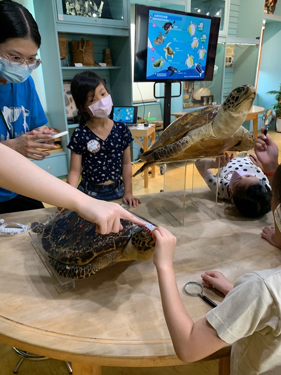 幼兒園：小海龜的超級任務(8/9-10)-圖片77