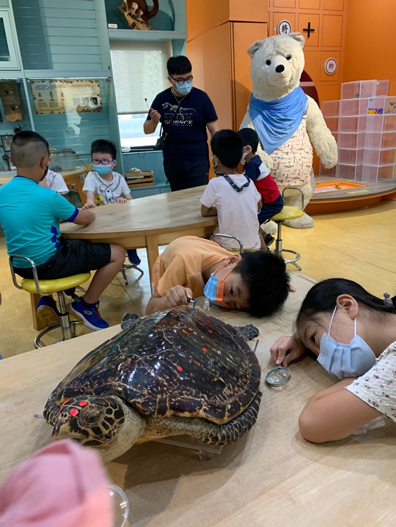 幼兒園：小海龜的超級任務(8/9-10)-圖片78