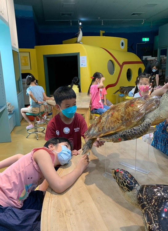 幼兒園：小海龜的超級任務(8/9-10)-圖片79