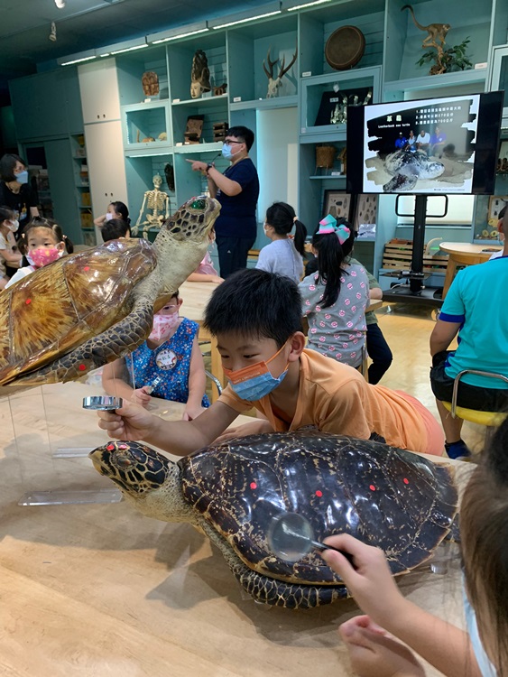 幼兒園：小海龜的超級任務(8/9-10)-圖片80