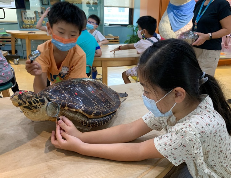 幼兒園：小海龜的超級任務(8/9-10)-圖片81