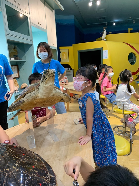 幼兒園：小海龜的超級任務(8/9-10)-圖片82