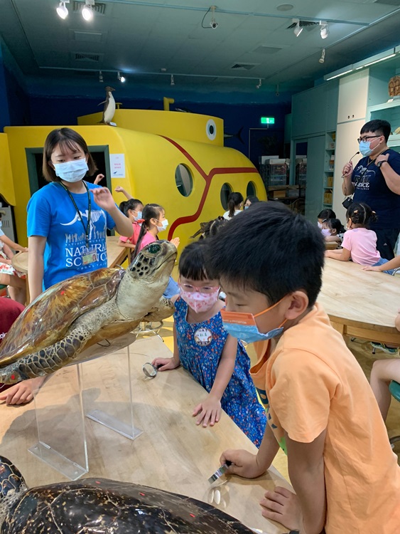 幼兒園：小海龜的超級任務(8/9-10)-圖片83