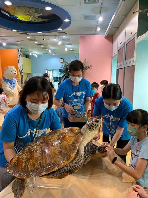 幼兒園：小海龜的超級任務(8/9-10)-圖片84