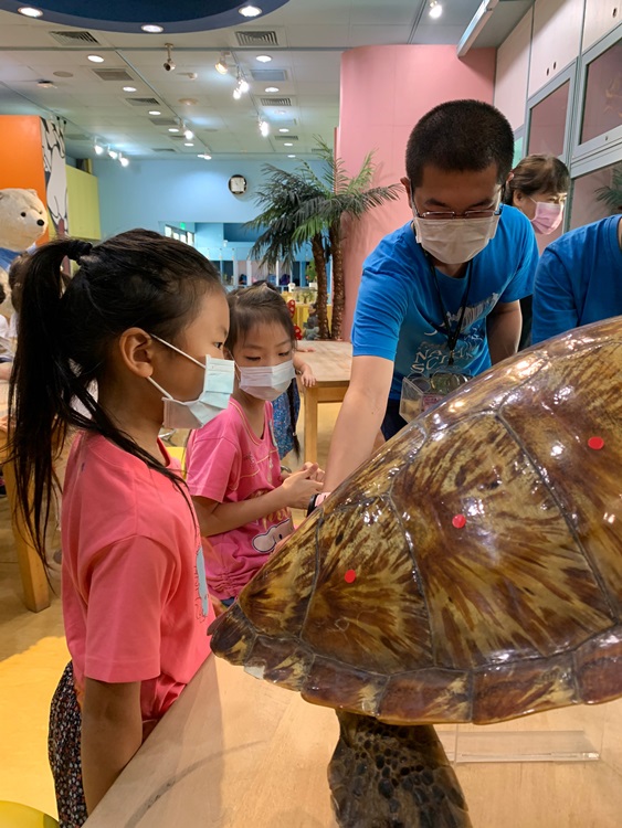 幼兒園：小海龜的超級任務(8/9-10)-圖片85