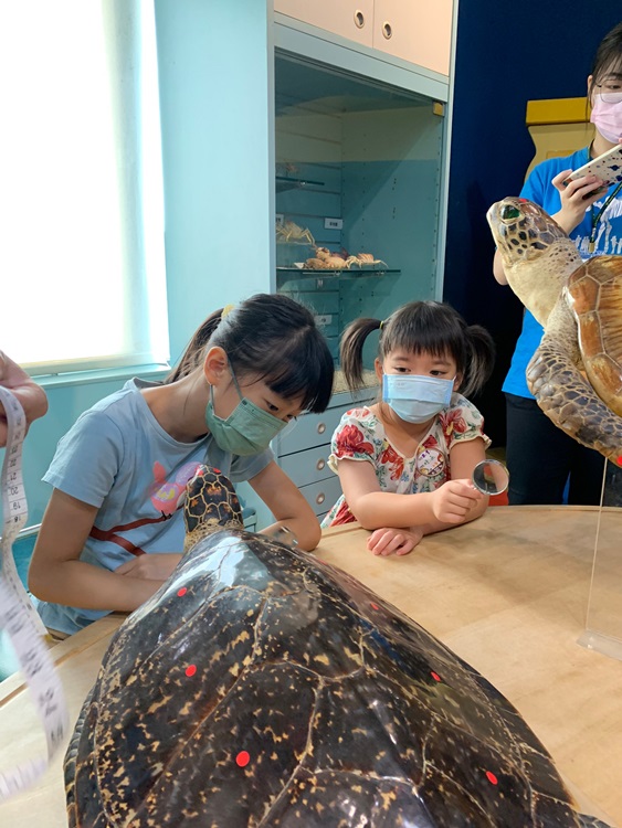幼兒園：小海龜的超級任務(8/9-10)-圖片86