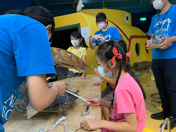幼兒園：小海龜的超級任務(8/9-10)-圖片87