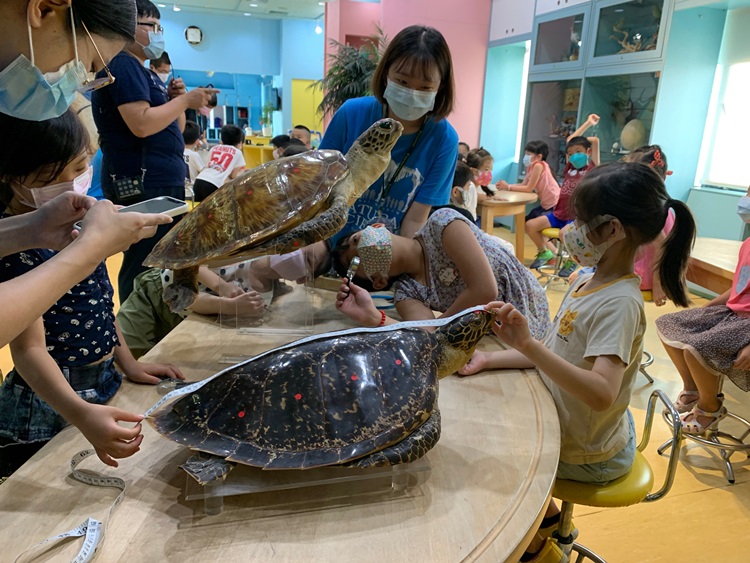 幼兒園：小海龜的超級任務(8/9-10)-圖片88