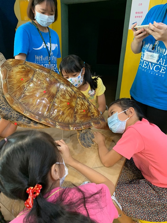 幼兒園：小海龜的超級任務(8/9-10)-圖片89