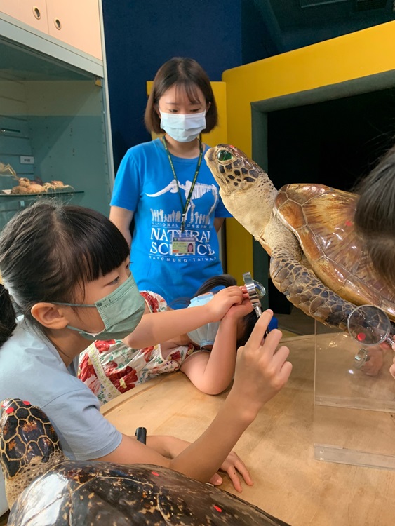 幼兒園：小海龜的超級任務(8/9-10)-圖片90